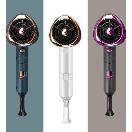 Seche Hair Dryer Blowing Electric Professional Blower Brush Scalp Treatments Nozzle Type Plug Standard Max. Power Source