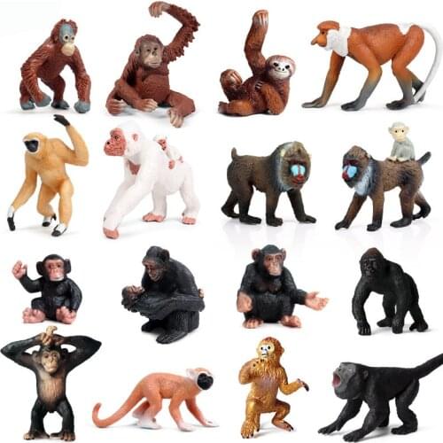 24 Kinds Apes and Monkeys Figure Collectible Toys PVC Animal Action Figures Wild Animal Toys Kids Cognitive Toys