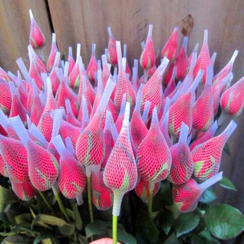 100 PCS White Makeup Brushes Net Protective Cover Set Rose Bud Shaped Storage Mesh Sheath Brush Anti-frizzing Sheath Net Supple