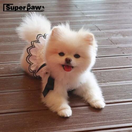 New Summer Pet Dog Vest Slip Dress Hair Pin Clothes For Small Medium Dogs French Bulldog Schnauzer Chihuahua Pug Hoodie TPC28