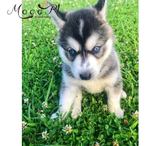 Animal,Diamond painting,Full,Dog,Diamond Embroidery,Round/Square,5D,Needlework,Mosaic,Crafts,Christmas Gift,Home Decor,Art