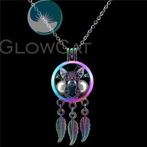 C792 Rainbow Puppy Dog Dream Catcher Beads Cage Essential Oil Diffuser Oyster Pearl Cage Locket Necklace Kids Girl Friend