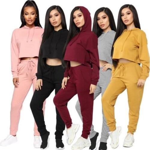 Winter Two Piece Set Hoodie Women Long Sleeve Crop Top Two Piece Set