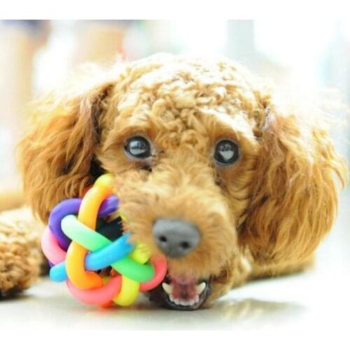 New1pc Popular Puppy Dog Toys Ball For Dogs Squeak Toys Pet Ball Rainbow Color Chew Toys Play For Teeth Training Pet Accessories
