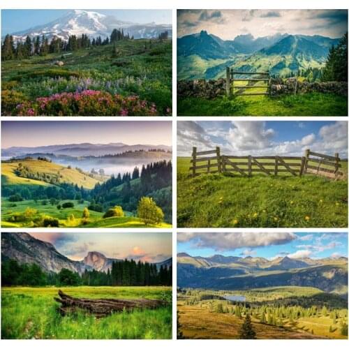 Laeacco Nature Scenery Backdrops Cloudy Sky Mountains Forest Green Trees Children Portrait Photography Backgrounds Home Studio