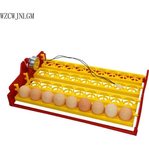 36 Eggs Incubator Chicken Duck And Other Poultry Automatic Incubator Poultry Eggs Poultry Incubation Equipment220V-110V 2pcs