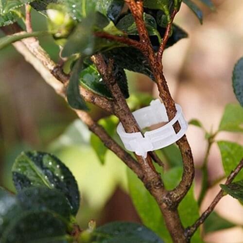 50pcs/Set Tomato Veggie Garden Plant Support Clips for Greenhouse Garden Plant Clip Durable Plastic Plant Clip 2
