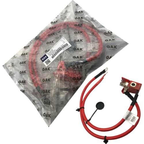 GAK Battery cable For BMW F22 218d 218i 220d 220i 225d 228i 230i M235i M240i 61129253111