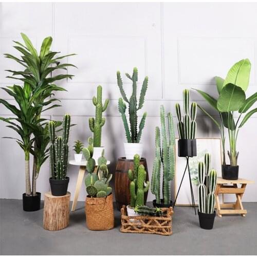 Cactus Artificial Succulent Plant False Plastic Desert Thorn Ball Large Flower Arrangement Family Garden Decoration