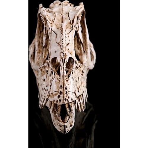 Ceratosaurus Dinosaur Skull Resin Crafts Fossil Skeleton Teaching Model Halloween Home Office Decoration