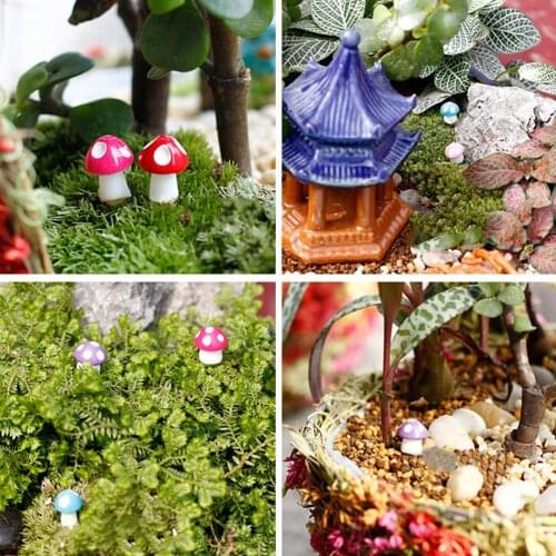 10PCS Mini Mushroom Garden Ornament Resin Crafts Decorations Mushrooms Terrarium Figurines Fairy Garden Miniatures Decoration