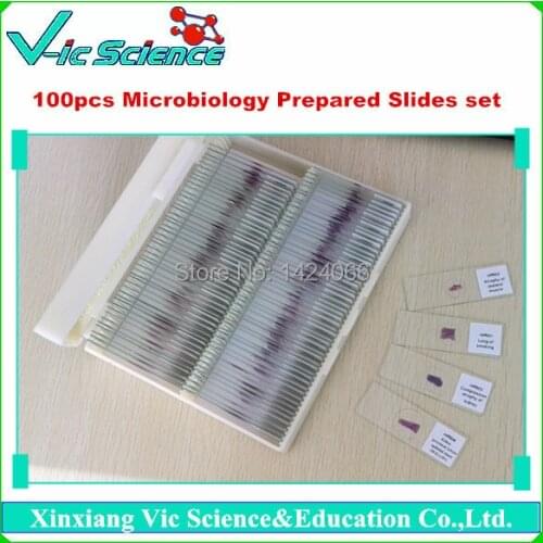 100pcs Microbiology Prepared Slides set