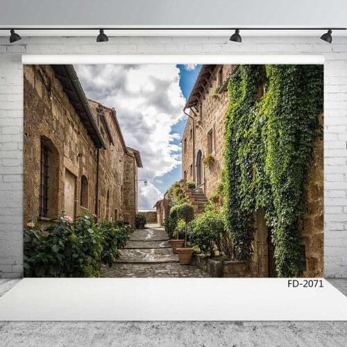 Buildings Town Roadway Photo Backgrounds Vinyl Cloth Photography Backdrops for Photo Studio Baby Children Portrait Photobooth