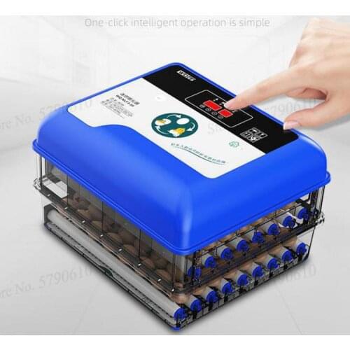 Incubator Small Water Bed Domestic Chicken, Duck, Goose, Quail And Egg Incubator Automatic Intelligent Mini Constant Temperature