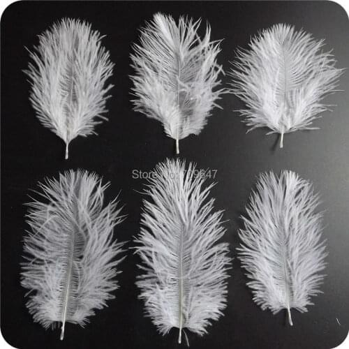 Plume Decoration! 200pcs/lot ! 10-15cm Small White Ostrich Feather ,Small Feather,White Feather,White Ostrich Confetti Feathers