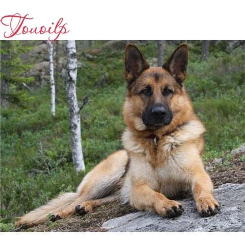 DIY,Full,Diamond Embroidery,German shepherd,photo custom,Diamond Painting,Cross Stitch,Diamond Mosaic,home Decoration,Christmas