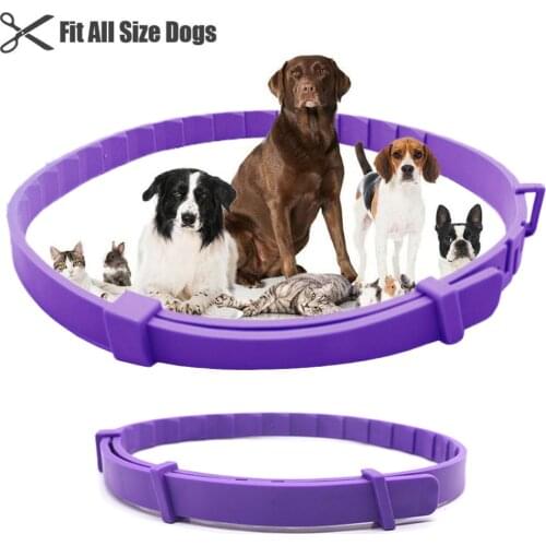 Pet Calm Collar Cat Dog Soothe Collar Adjustable TPR Neck Strap Relieve Anxiety Remove Restlessness Protection Pet Supplies