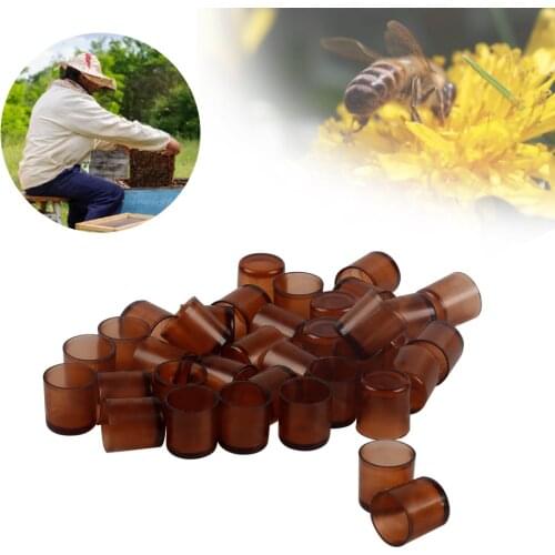 110 PCS|Beekeeping Bee Queen Cells Nicot Larva Rearing System Honeybee Equipment Apiculture Tools Beehive For Beekeeper
