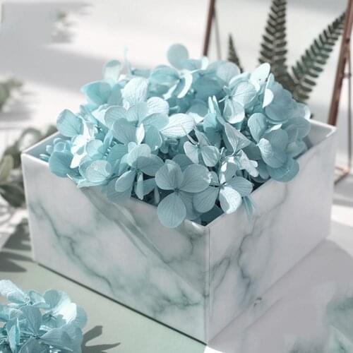 Eternal Flower Hydrangea Head Valentines Day Gift Preserved Immortal Flower DIY Hug Bucket Box Bouquet Material Home Craft