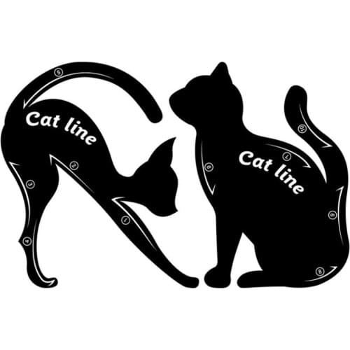 100 Pairs Cute Women Cat Line Eye Makeup Eyeliner Unique Stencils Templates Makeup Tools Kits For Eyes Eyeliner Tools Top Sale