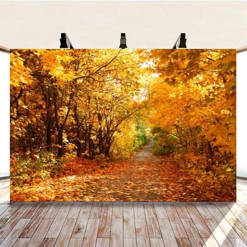 Autumn Woods Full of Leaves Path Happy Trip Picture Background Studio Photography Photo Cloth Can Be Customized