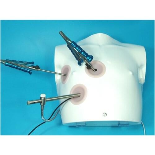Prosthetic thoracoscopic simulator, Prosthetic training box+HD camera+imstruments+modules