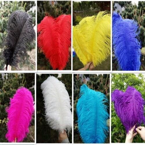 Wholesale pretty 100 pcs ostrich feathers high quality 50-55 cm / 20 to 22 inches DIY jewelry decoration / wedding celebration
