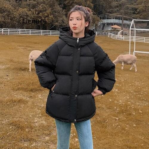 Hooded Women Winter Down Jacket Coat Plus Size 2XL Short Thicken Warm Cotton Padded Winter Coat Womens Clothing