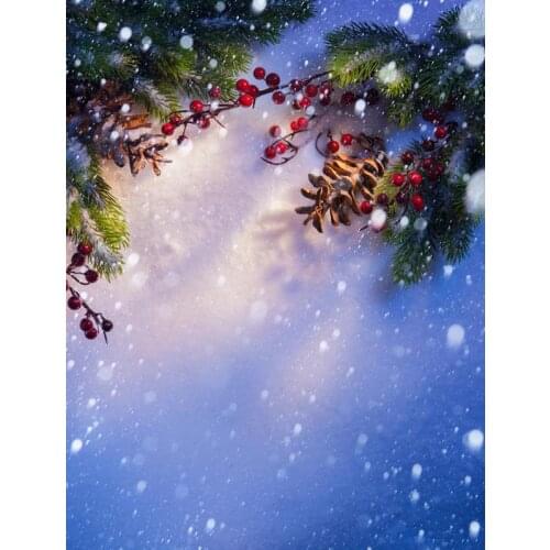 VinylBDS 5x7ft(1.5x2.2m) Christmas Photography Backdrops Sunshine Berries Snow Background For Photo Shoot