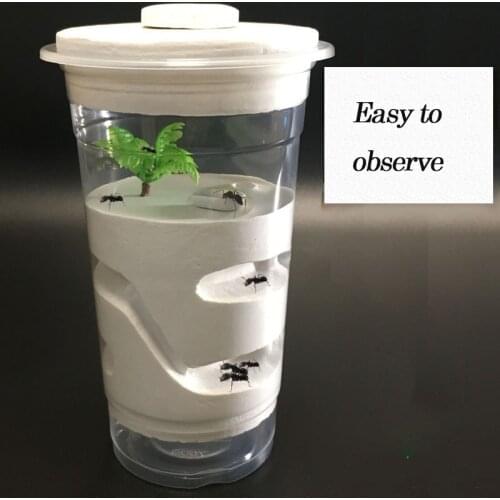 Pet Ant Plaster Nest/Box/Castle Insect Supplies Simple Feeder Tweezers