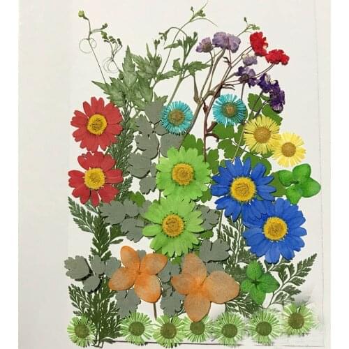 Assorted Dried Pressed Flower+Leaf Leaves Plant Herbarium For Jewelry Photo Frame Phone Case Craft Making DIY-DH012
