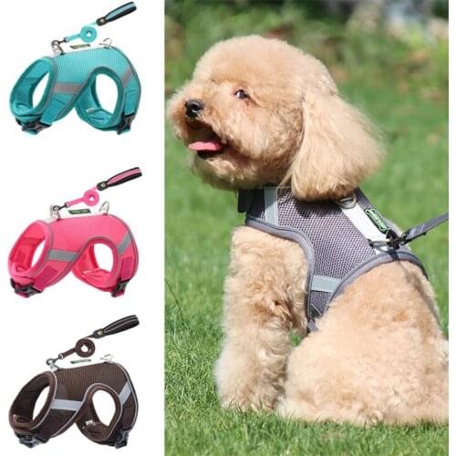 Mesh Breathable Pet Dog Harness and Leash Set for Small Medium Dogs Reflective Puppy Cat Harnesses Poodle Maltese Mascotas Leads