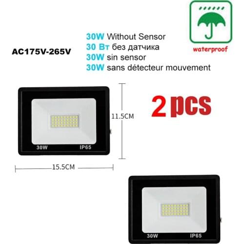 2 pcs 220V 10-100W LED FloodLight Spotlight Exterior Street wall reflector Led Light Garden Decoration Lighting LED IP65 Waterpr