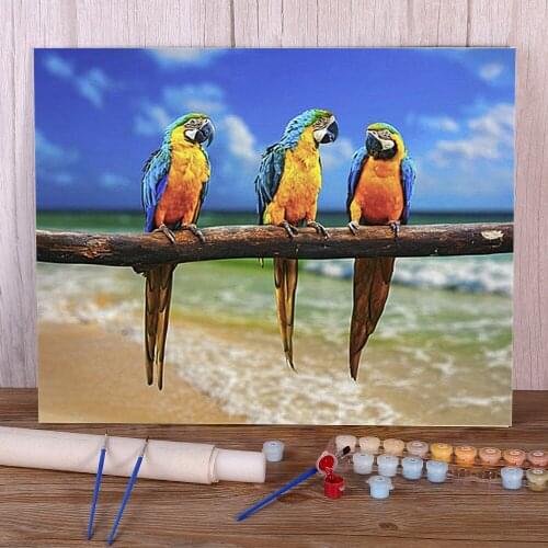 Parrot Bird Animal Paint By Numbers Set Oil Paints 50*70 Picture By Numbers Photo New Design Crafts Adults Wall Art Drawing