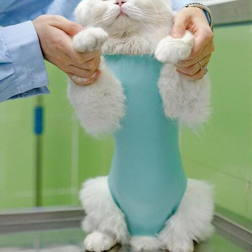 Professional Cat Weaning Suit Solid Color Wound Recovery Cotton Anti Licking Postpartum Cloth for Pet Kitten Clothes Supplies
