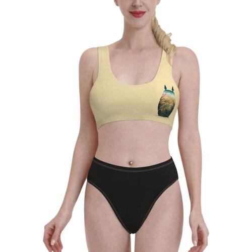 Bikinis Totoros Lovely Cat Exotic 2021 Women Swimsuit high Waist dress sets Anime Manga Chibi Women bathing suit SwimSuit