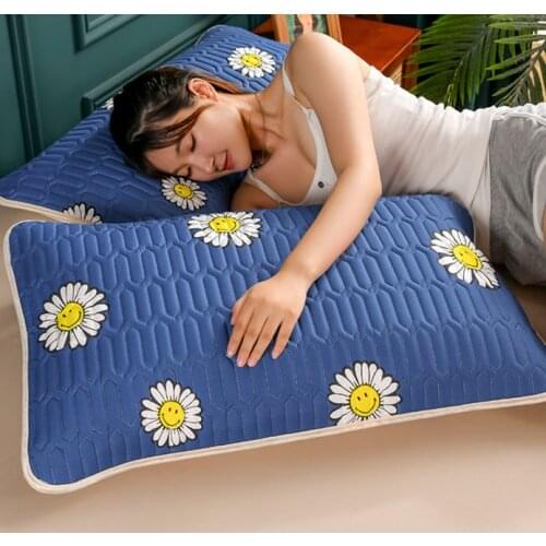 Nordic Waterproof Sweat-Proof Double-Layer Pillowcase Latex Pillowcase Pillowcase Large plus Size Couple Removable and Washable