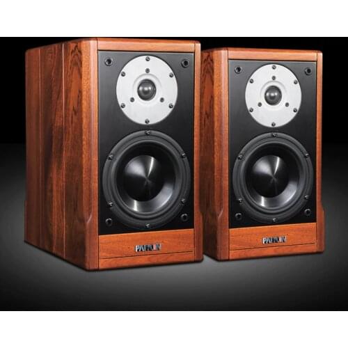 PAIYON P9 HIFI bookshelf speakers audiophile MOREL TICW 638+ST1108 unit