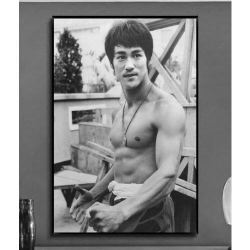 W213 Kung-Fu Bruce Lee Movie Silk Fabric Wall Poster Art Decor Sticker Bright