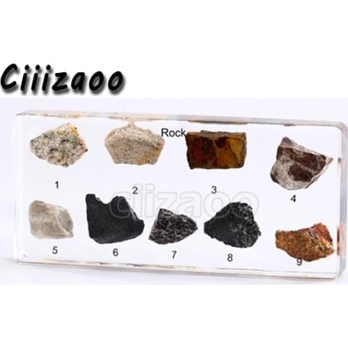 Rock Collection Specimen paperweight Taxidermy Collection embedded In Clear Lucite Block Embedding Specimen