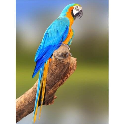 Parrot Bird Animal Pre-Printed 11CT Cross-Stitch Embroidery Patterns DMC Threads Handiwork Craft Needlework Handicraft Magic