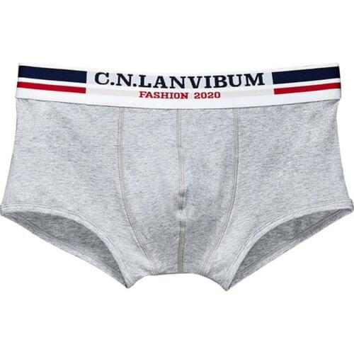 Mens Cotton Underwear Breathable Boxer Shorts Soft Men Underpants Low Waist Male Underwear Bulge Pouch Boxershorts Trunks Solid