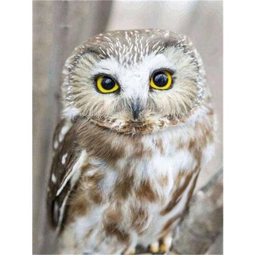 Bird Owl Animal DIY Cross Stitch 11CT Embroidery Kits Needlework Craft Set Printed Canvas Cotton Thread Home Dropshipping