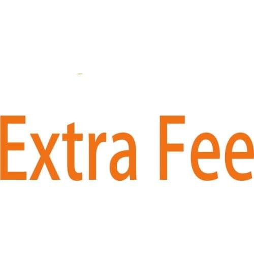 Extra Fee