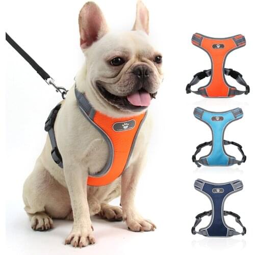 BAILUNMUZI Dog Training Collars And Dog Repellents