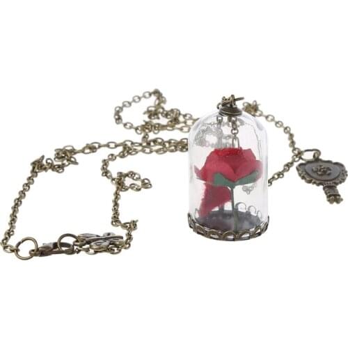 Women Romantic Dried Flowers Glass Bronze Long Chain Beauty and Beast Necklaces U4LE