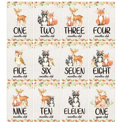 12PCS Baby Milestone Cards Memorial Growth Record Photo Landmark Newborn Photo Month Blanket Kids Photographic Mat