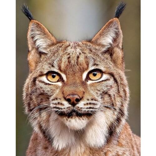 Animal Cats Lynx 5D DIY Diamond Painting Full Square/Round Diamond Embroidery Sale Pictures of Rhinestones Mosaic Decor FG1974
