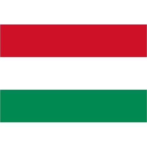 90 x 150cm The Hungarian polyester flags Hungary flags and Indoor and outdoor decoration