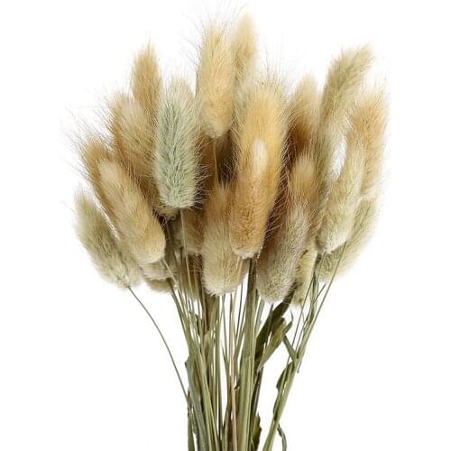 Rabbit Tail Grass 50pcs Dried Tiny Flowers Artificial Dry Flowers Pampas Grass Real Flowers Diy Home Decor Fall Party Decoration